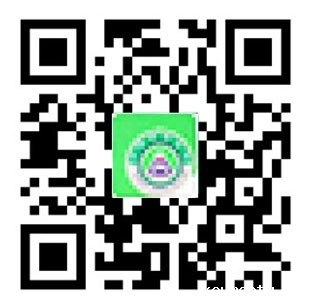 手机客户端